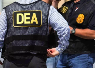 Escándalo en la DEA: revelan casos de agentes coludidos con el narco y corrupción interna agencias DEA coludidos narco mexico