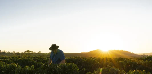Agricultura inteligente: IA y gemelos digitales prometen ahorrar agua y transformar los cultivos en México agricultura tecnologia