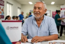 INAPAM abre oportunidades laborales para adultos mayores con acceso a sueldo y prestaciones aguinaldo inapam 2026