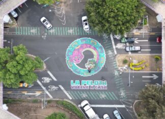 Ajolotización en CDMX: Clara Brugada defiende estrategia y rechaza críticas por uso del color morado y ajolotes ajolotizacion cdmx