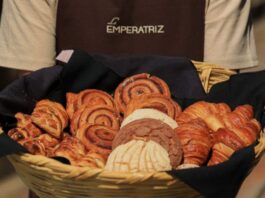 La Emperatriz: la cafetería del Castillo de Chapultepec que conquista por sus vistas y experiencia imperial cafeteria castillo de chapultepec