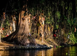 Campamento de terror en CDMX 2026: maratón de películas en la Isla de las Muñecas (horarios, precio y cómo ir) campamento isla de las muñecas cdmx