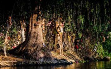 Campamento de terror en CDMX 2026: maratón de películas en la Isla de las Muñecas (horarios, precio y cómo ir) campamento isla de las muñecas cdmx