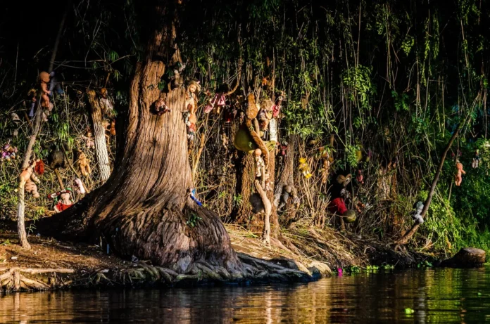 campamento isla de las muñecas cdmx