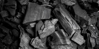 China impulsa energía “sin contaminación”: avances, límites y el debate global sobre su modelo china carbin energia