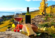 Festival de Quesos y Vinos 2026: fechas, precios y todo lo que debes saber festival quesos y vinos 2026