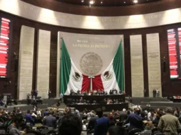 Diputados bajo la lupa: Cámara destina casi un millón de pesos para café en contratos de 2026 gasto diputados cafe