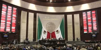 Diputados bajo la lupa: Cámara destina casi un millón de pesos para café en contratos de 2026 gasto diputados cafe