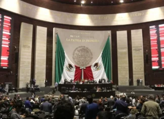 Diputados bajo la lupa: Cámara destina casi un millón de pesos para café en contratos de 2026 gasto diputados cafe