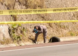 Ocho estados concentran más de la mitad de homicidios en México homicidios dolosos mexico