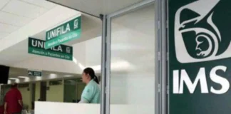 IMSS endurece reglas de Modalidad 40: estos trabajadores ya no podrán acceder imss modalidad 40