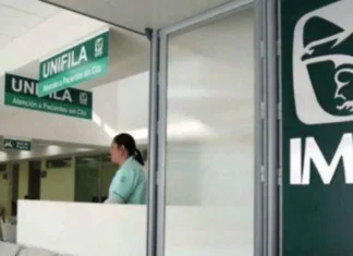 IMSS endurece reglas de Modalidad 40: estos trabajadores ya no podrán acceder imss modalidad 40