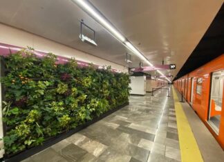 Metro Zócalo tendrá muro verde y plantas vivas como parte de su nueva imagen rumbo al Mundial 2026 muro verde metro