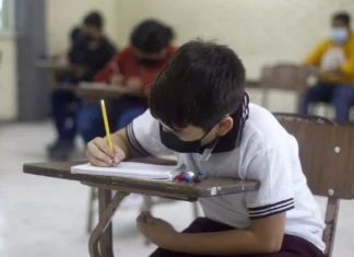SEP: maestros anuncian huelga nacional y varios estados suspenderían clases desde junio no hay clases junio 1 2026