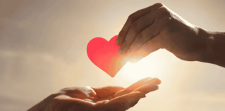 Latinoamérica lidera satisfacción amorosa global noticias love life index