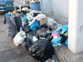 Cuauhtémoc endurece operativos contra basura; ya suman 528 personas remitidas al Juzgado Cívico remitidos basura calle