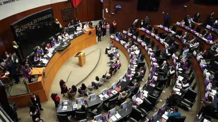 senado decision express