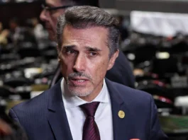 Morena frena a Sergio Mayer en San Lázaro y él amenaza con irse a Movimiento Ciudadano sergio mayer diputados morena