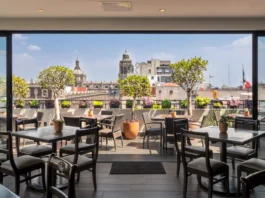 Central Hoteles convierte el Día del Padre en una experiencia gastronómica con vista al corazón de la CDMX Central Hoteles