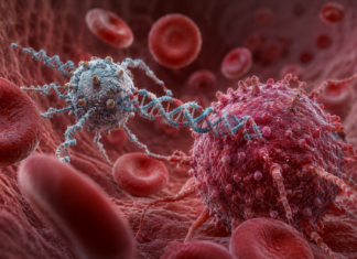 Nanorobots con “velcro” de ADN: la tecnología que busca atacar tumores con precisión