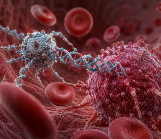 Nanorobots con “velcro” de ADN: la tecnología que busca atacar tumores con precisión