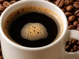 Mar del Plata será sede de Coffee Cup 2026, encuentro para amantes del café de especialidad Coffee Cup 2026