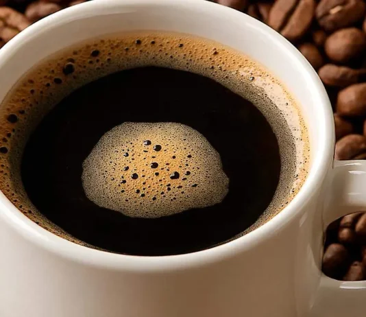 Mar del Plata será sede de Coffee Cup 2026, encuentro para amantes del café de especialidad Coffee Cup 2026