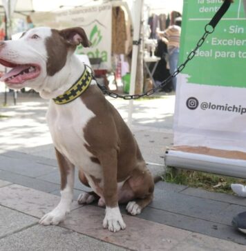 El CanFest 2026 llega a CDMX El CanFest 2026 llega a CDMX