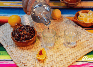 Festival del Pulque, Mezcal y Gastronomía celebra su 9ª edición en CDMX Festival del Pulque y mezcal