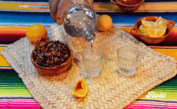 Festival del Pulque, Mezcal y Gastronomía celebra su 9ª edición en CDMX Festival del Pulque y mezcal