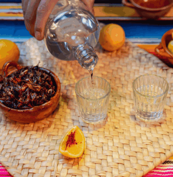 Festival del Pulque, Mezcal y Gastronomía celebra su 9ª edición en CDMX Festival del Pulque y mezcal