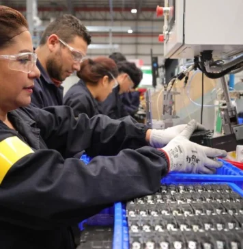 IMSS detecta 55 mil empleos ficticios y aclara caída laboral de mayo en México IMSS empleos ficticios