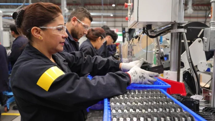 IMSS empleos ficticios IMSS empleos ficticios