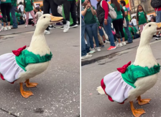Juanita la Patita se suma al fenómeno viral del Mundial 2026 Juanita la Patita