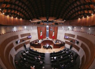 TEPJF mantiene recorte de afiliaciones a Morena y da respiro a nuevos partidos TEPJF