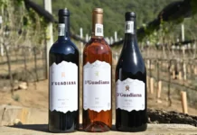 Vinos D’Guadiana impulsa el enoturismo en Coahuila con viñedos, gastronomía y paisaje de montaña Vinos D’Guadiana