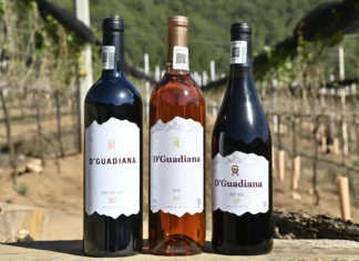 Vinos D’Guadiana impulsa el enoturismo en Coahuila con viñedos, gastronomía y paisaje de montaña Vinos D’Guadiana