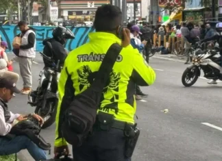 Ajolote llega a uniformes de policías de tránsito durante operativo mundialista en CDMX ajolotizacion-policias-transito