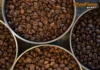 Científicos convierten residuos de café en combustible sólido con tecnología de plasma cafe reactor plasma corea