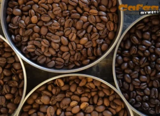 Científicos convierten residuos de café en combustible sólido con tecnología de plasma cafe reactor plasma corea