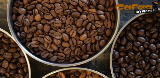 Científicos convierten residuos de café en combustible sólido con tecnología de plasma cafe reactor plasma corea