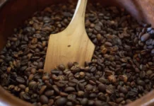Veracruz apuesta por el agroturismo: del café y la vainilla a experiencias rurales únicas cafe veracruzano