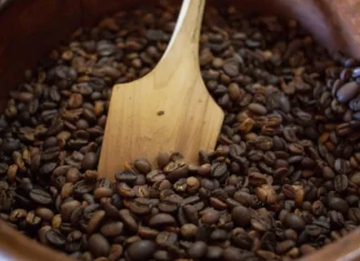 Veracruz apuesta por el agroturismo: del café y la vainilla a experiencias rurales únicas cafe veracruzano