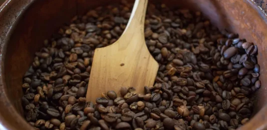 Veracruz apuesta por el agroturismo: del café y la vainilla a experiencias rurales únicas cafe veracruzano