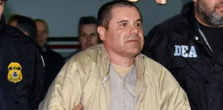 “El Chapo” busca apoyo de Sheinbaum para regresar a México; solicita intervención ante corte de EU chapo guzman extradicion