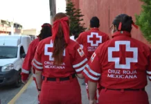 Cruz Roja envía ayuda humanitaria a Venezuela tras terremotos: primer cargamento apoyará a 800 familias cruz roja venezuela