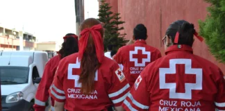 Cruz Roja envía ayuda humanitaria a Venezuela tras terremotos: primer cargamento apoyará a 800 familias cruz roja venezuela