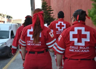 Cruz Roja envía ayuda humanitaria a Venezuela tras terremotos: primer cargamento apoyará a 800 familias cruz roja venezuela