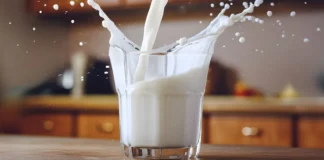 México consume millones de litros de leche, pero aún depende del extranjero para cubrir su demanda dia mundial de la leche
