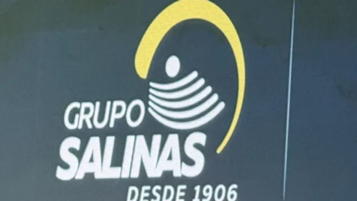 grupo salinas negocios